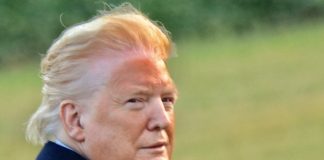 Donald Trump photo makeup line spray tan line